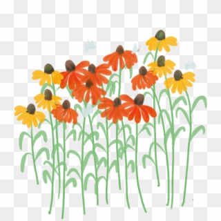 Daisies In A Bunch , Png Download Clipart