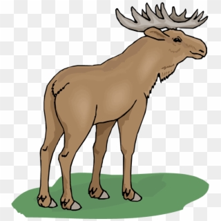 Free Moose Free Download Clipart - Moose Clipart - Png Download