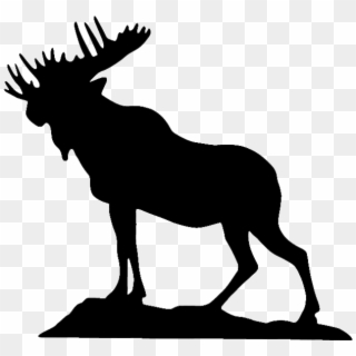 Loyal Order Of The Moose Clipart