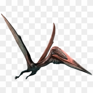 Pterodactyl Png Clipart