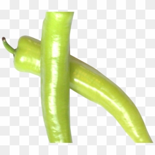 Green Chili Pepper Png Image - Bird's Eye Chili Clipart