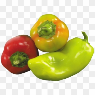 Free Png Download Pepper Png Images Background Png - Green And Red Peppers Png Clipart