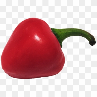 Free Png Chili Pepper Png Images Transparent - Eggplant Clipart