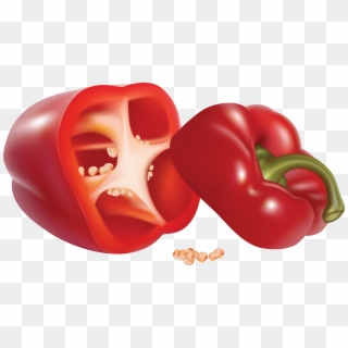 Realistic Bell Pepper Drawing Clipart