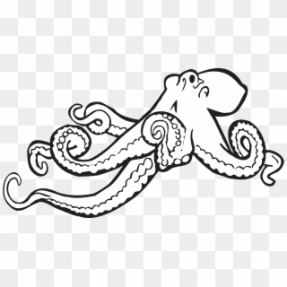 Clipart Octopus Transparent Background - Octopus Clipart Black And White - Png Download