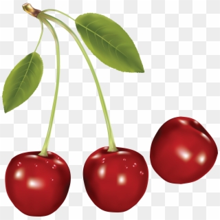 Cherries Png Clipart