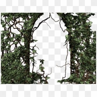 Gothc Clipart Ivy - Forest - Png Download