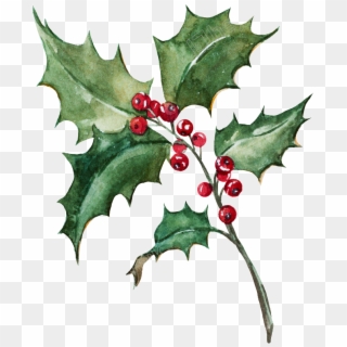 Holly Leaf Png - Holly Painting Png Clipart