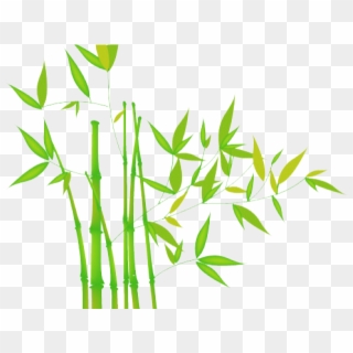 Transparent Background Bamboo Clipart Png