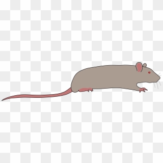 This Free Icons Png Design Of Rat By Rones Clipart