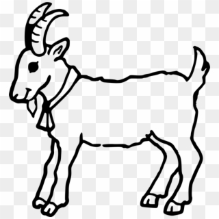 Boer Goat Coloring Book Cute Colouring Anglo-nubian - Outline Image Of Goat Clipart