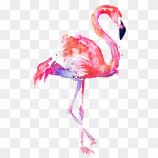 Flamingo Transparent Water Color Clipart