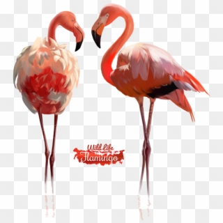 600 X 626 7 - Psp Tube Flamingo Clipart