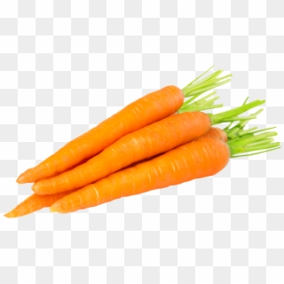 Carrot Png Image - 1 Carrot Clipart