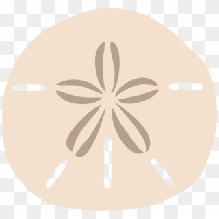 1000 X 946 5 - Sand Dollar Png Clipart