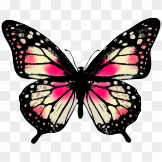 Large Pink Butterfly Png Clip Art Image - Butterfly Png Transparent Png