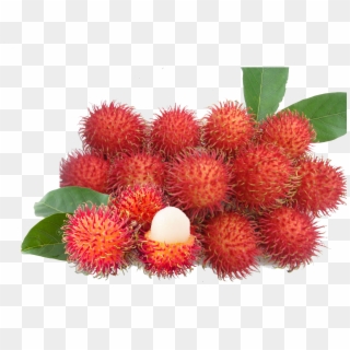 Rambutan Fruit - Png Rambutan - Rambutan Fruit Price In India Clipart