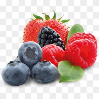 Contributing To A Healthy World - Zachtfruit Clipart