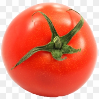 Tomato Png Royalty-free Image - Tomato Paste Clipart