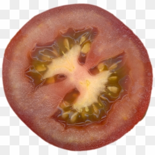 Qubodup Tomato Tomate - Jitomate Cortado A La Mitad Clipart