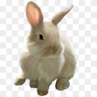 Cute Painted Bunny Png Picture Clipart - Real Easter Bunny Png Transparent Png