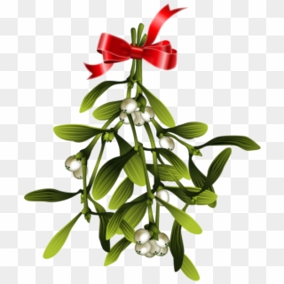 Christmas Wish Mistletoe Clipart