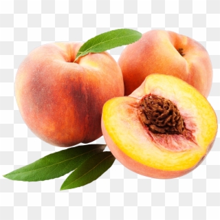 Peach - Peachpng Clipart