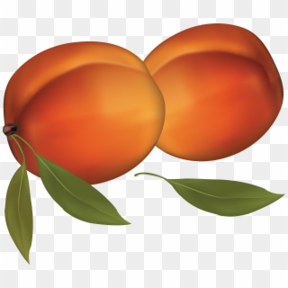 Peach Clipart Transparent Background - Png Download