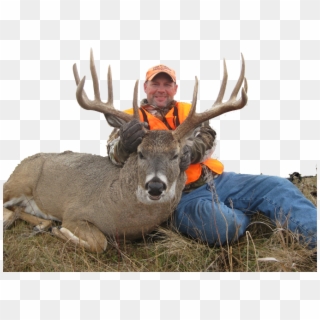 North Dakota South Dakota Deer Hunting - North Dakota Whitetail Bucks Clipart