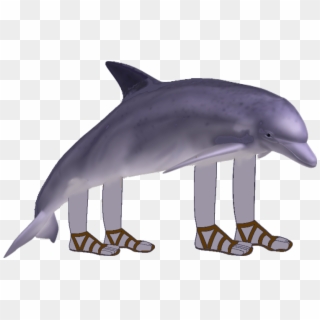 Dolphin With Arms And Legs Clipart