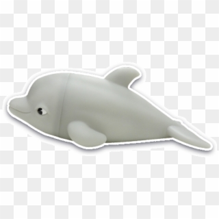 Common Bottlenose Dolphin Clipart