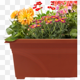 Pots Of Plants Png , Png Download Clipart