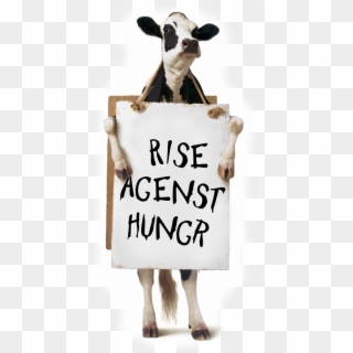 Good 20 Chick Fil A Cow Png For Free Download On Ya-webdesign - Cow Saying Eat More Chicken Clipart