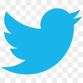 Facebook Twitter Logo Transparent Background - Twitter Bird Icon Transparent Clipart