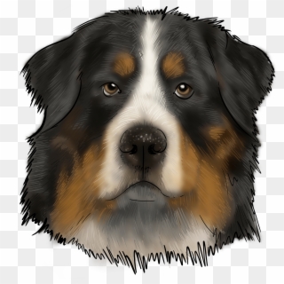 The Bernese Mountain Dog, Or Known As Bernies Or Berners, Clipart