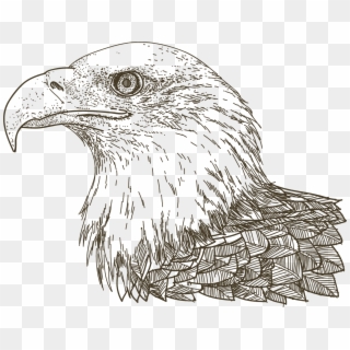 Eagle Png Logo - Drawing Clipart