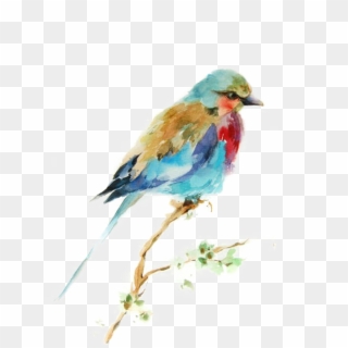 Bird Watercolor Printmaking Drawing Painting Birds - Bird Painting Png Clipart