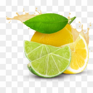 Lemon Fruits Png Transparent Images Clipart Icons Pngriver - Lemon And Lime Png