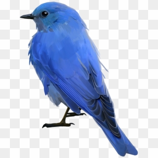 Blue Bird Png - Mountain Bluebird Clipart