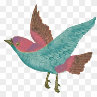 2019 Matthew Williamson - Scarlet Tanager Clipart