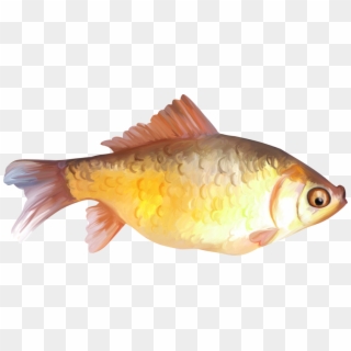 Painted Fish Clipart - Fish Png Paint Transparent Png