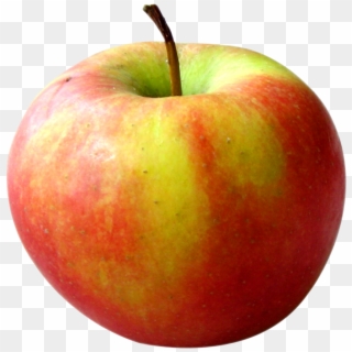 Fresh Apple Png Image - Portable Network Graphics Clipart