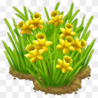 Daffodils Png - Daffodils - Tulip Clipart