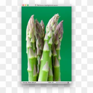 Benefits Of Asparagus Clipart