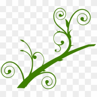 Collection Of Free Branch Vector Leaf - Beanstalk Clipart - Png Download