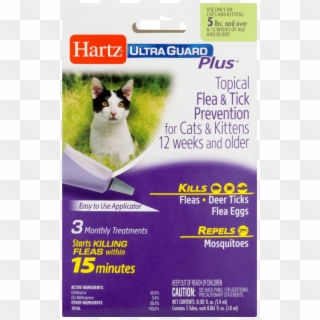 Hartz Ultraguard Plus Topical Flea & Tick Prevention - Domestic Short-haired Cat Clipart