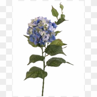 34" Hydrangea Spray X2 Blue - Bouquet Clipart