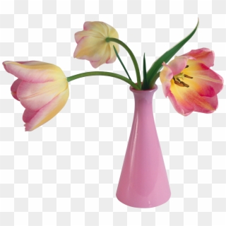 006 Flower Vase Png Designs Vase Png153 - Цветок В Вазе Пнг Clipart