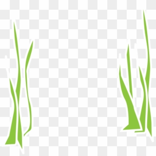 Reed Clipart Underwater - Grass Png Underwater Transparent Png