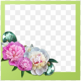 Frame, Peony, Roses, Gems - Pitcher Good Morning Clipart